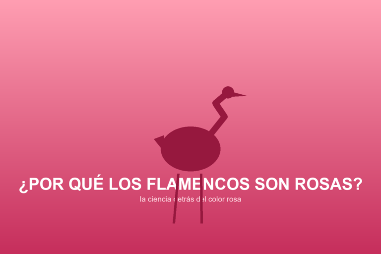 Ilustración de un flamenco rosa con el texto '¿Por qué los flamencos son rosas?'